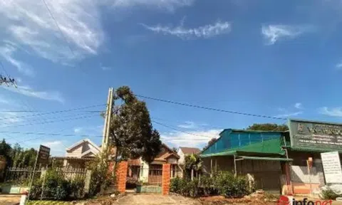 Lên phương án cưỡng chế hơn 64 căn nhà xây trái phép trên đất của Công ty cà phê Việt Thắng