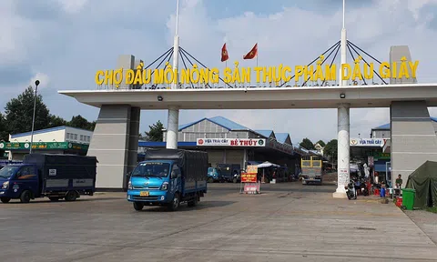 Chi 13,5 tỉ đồng định giá 710 thửa đất để bán đấu giá