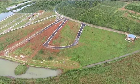 Xử lý nghiêm việc san lấp đồi núi, phân lô, bán nền