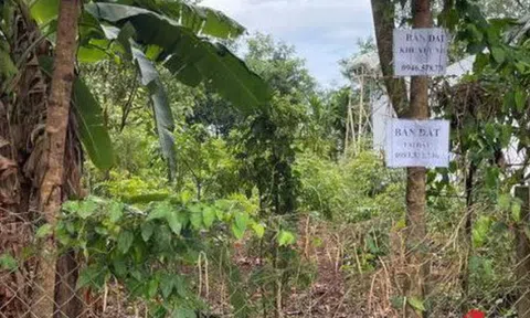 Hậu sốt đất Tây Nguyên, chủ đất bán vườn bỗng nhiên mất luôn đất ở: Rà soát, nghiêm trọng sẽ chuyển công an điều tra