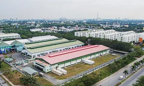 Loại đất quy mô lớn ở TP.HCM đắt gấp 2 lần miền Bắc, gấp 6 lần miền Trung