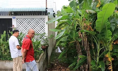 Đồng Tháp: Hy hữu chuyện nhiều người mua nhầm vị trí một thửa đất