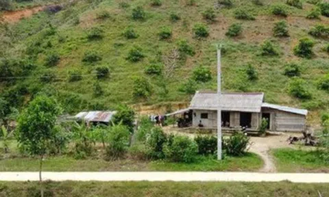 Sốt đất hạ nhiệt ở nhiều nơi