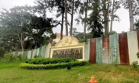 Lâm Đồng thu hồi toàn bộ đất cho thuê dự án du lịch nghỉ dưỡng King Palace