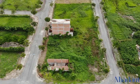 Dự án Lotus Residence sau 6 năm mở bán vẫn chỉ là bãi đất trống