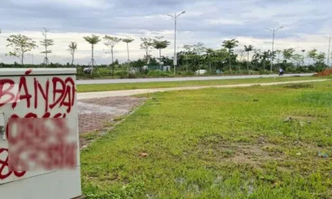 Đấu giá đất vàng tại Đông Anh, giá trúng cao nhất gần 160 triệu đồng/m2