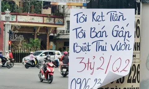 Nhà đầu tư săn bất động sản “ngộp”: 3 lần ép giá vẫn mua hớ cả trăm triệu đồng